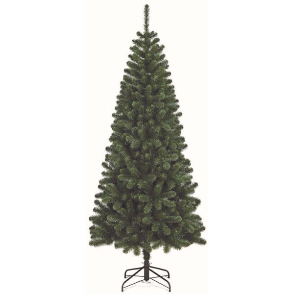 Kenya albero di natale