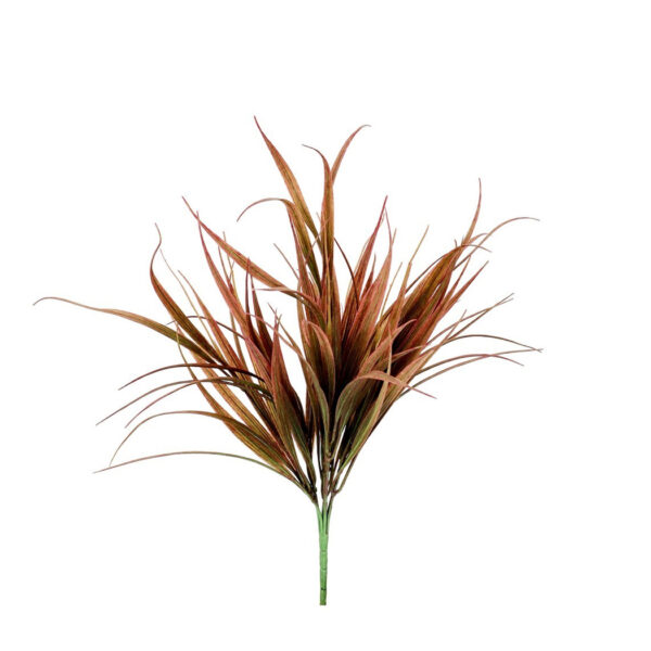 Alams pick hakonechloa